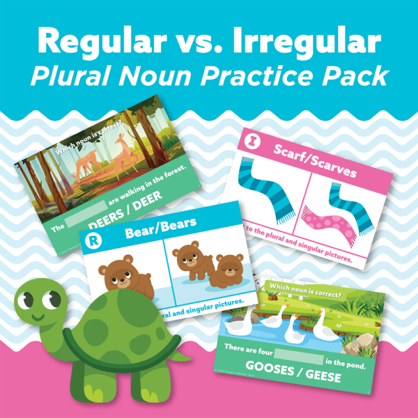 Regular vs. Irregular Plural Noun Practice Pack